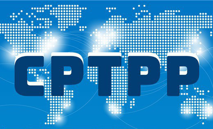 hướng dẫn thực hiện đấu thầu mua sắm theo CPTPP
